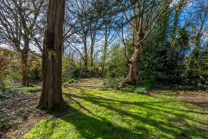 Photo 33- click for photo gallery